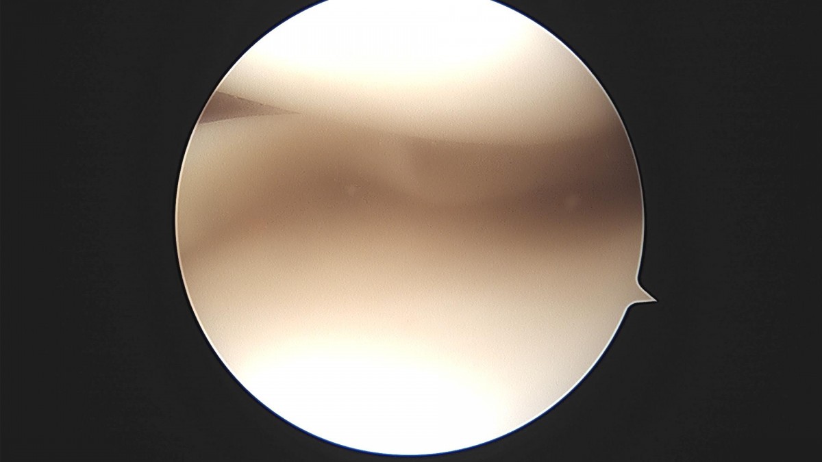 bccafb0c4c611c3a9fcb6ca752df8d40_1670488370_8522.jpg
