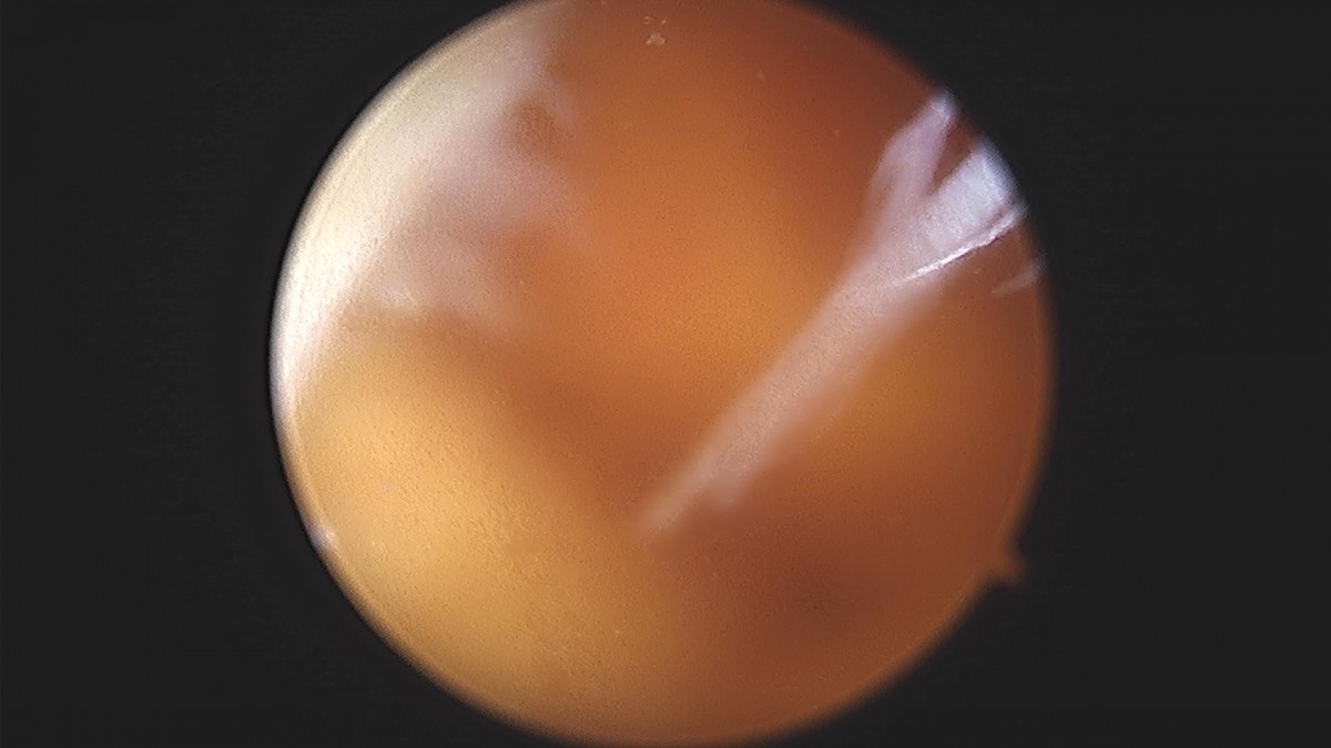 bccafb0c4c611c3a9fcb6ca752df8d40_1670488422_6939.jpg