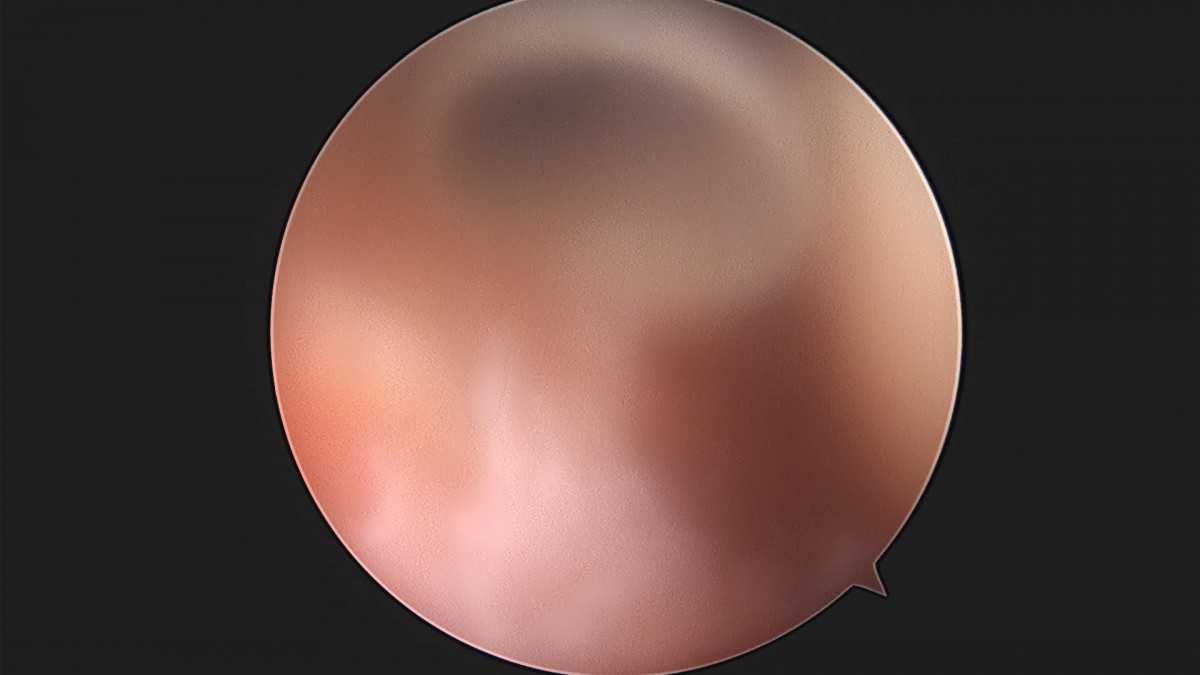 bccafb0c4c611c3a9fcb6ca752df8d40_1670488505_8112.jpg