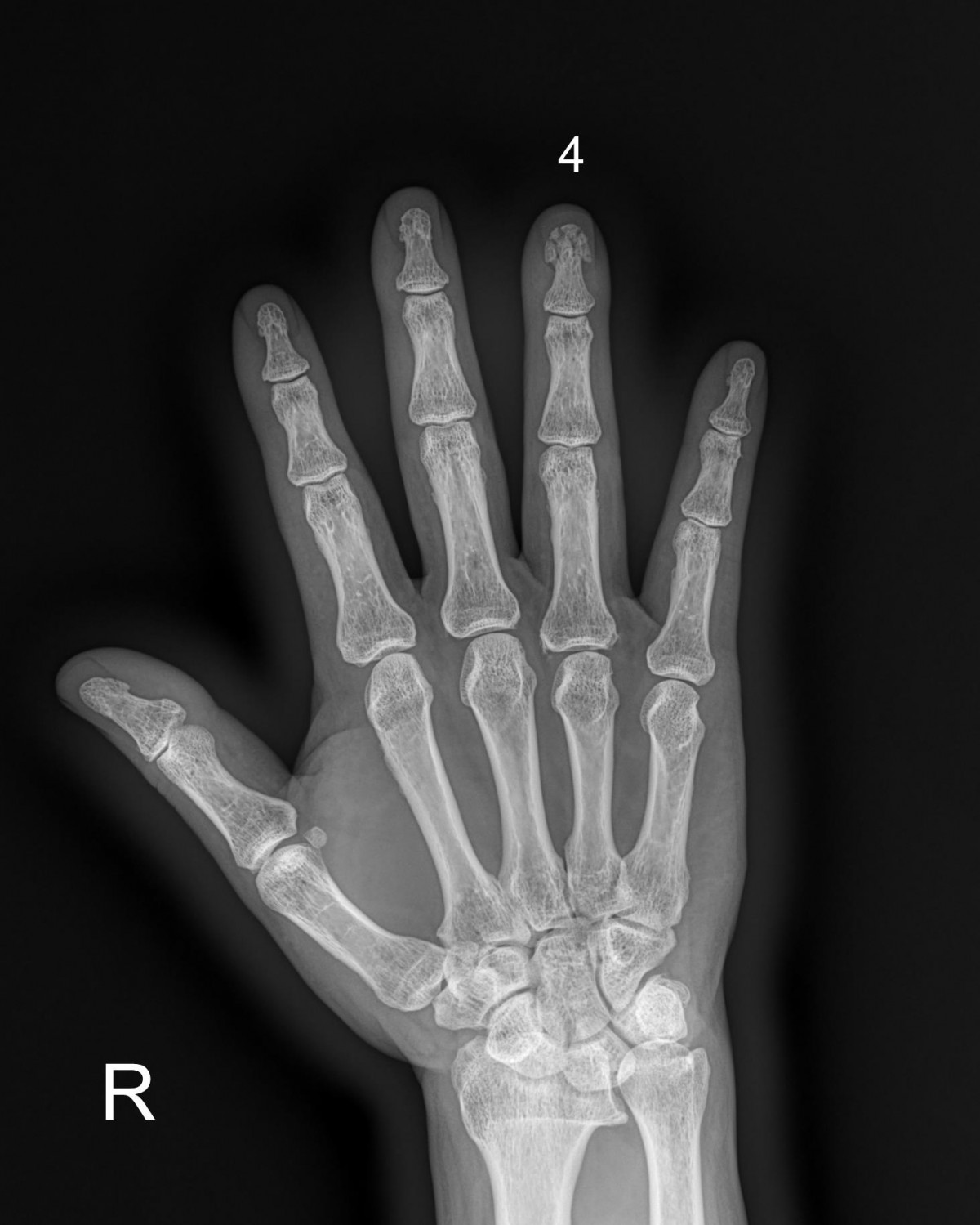 ade708f6ffdfd2e6dcf188e7ecb45ff3_1673511404_626.jpg