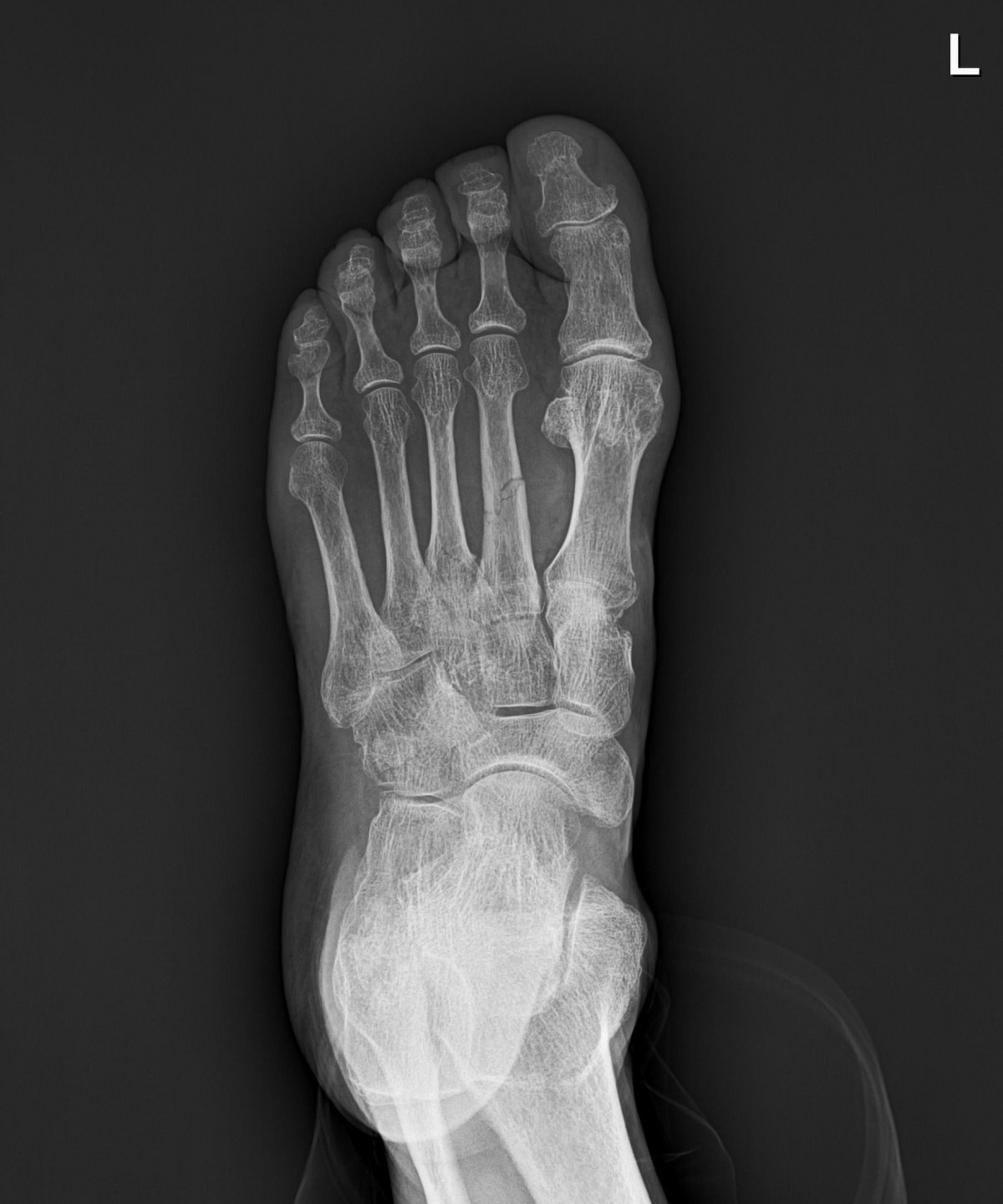 916473fabde5177f9167192daa4ca201_1676340151_8895.jpg
