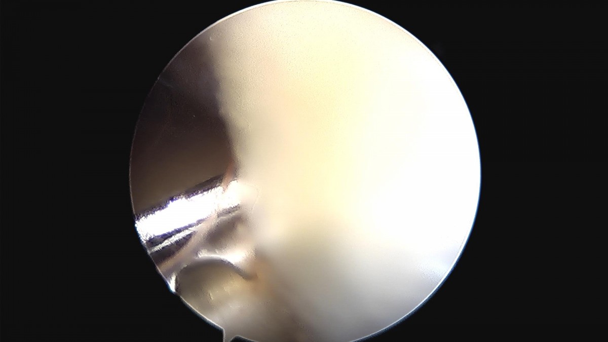 916473fabde5177f9167192daa4ca201_1676340451_2045.jpg