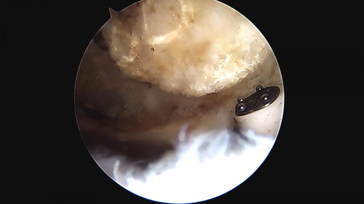 916473fabde5177f9167192daa4ca201_1676340452_5436.jpg