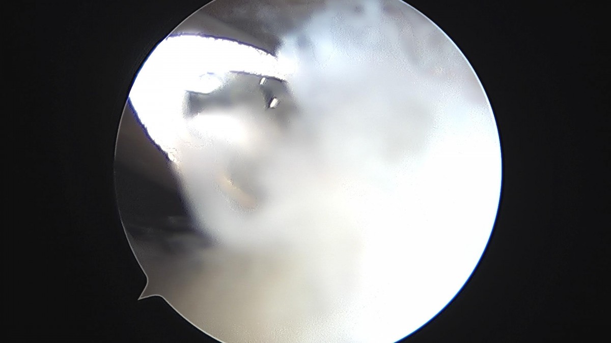 916473fabde5177f9167192daa4ca201_1676340511_3411.jpg