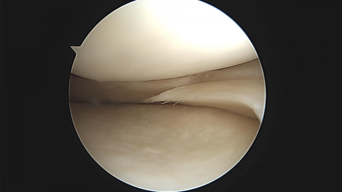 916473fabde5177f9167192daa4ca201_1676340866_5893.jpg