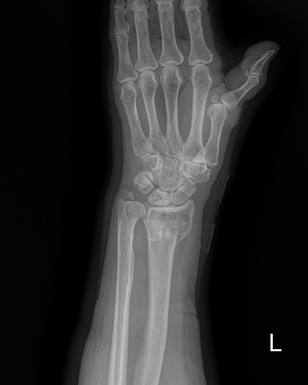 916473fabde5177f9167192daa4ca201_1676341299_0538.jpg