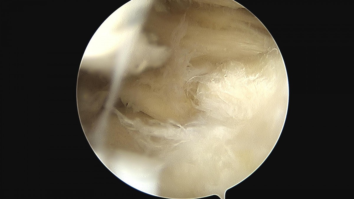 916473fabde5177f9167192daa4ca201_1676342070_2502.jpg