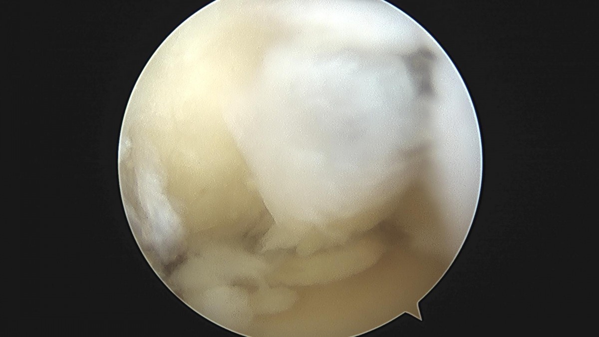 d37b157a8bc20a78ead0512dff0be9b6_1684391570_692.jpg