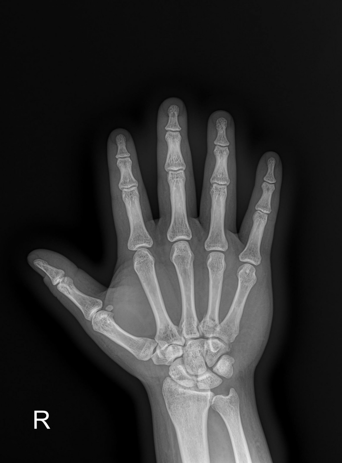 d37b157a8bc20a78ead0512dff0be9b6_1684393207_9554.jpg
