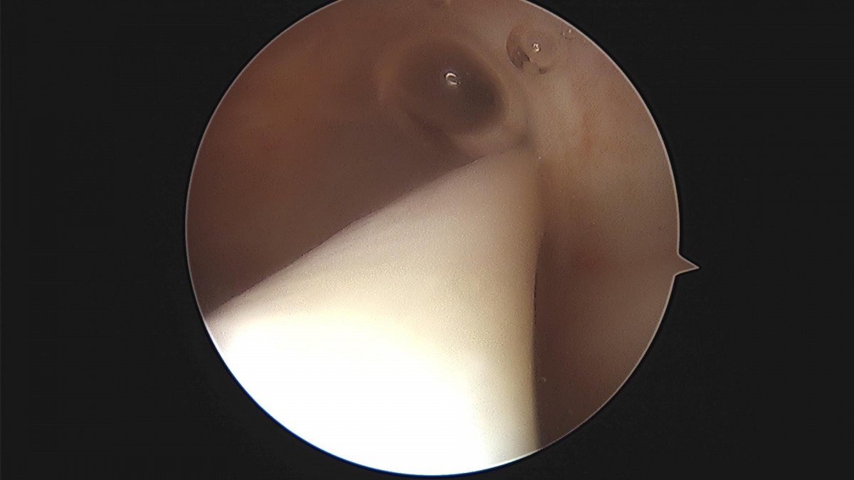 59145ffcd1cc31ddf4b28db2cf275b26_1688174800_891.jpg