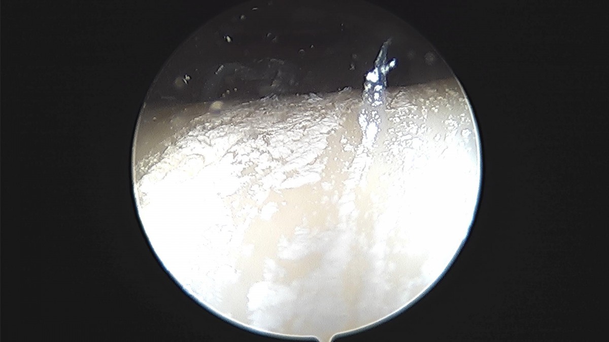 59145ffcd1cc31ddf4b28db2cf275b26_1688177313_7044.jpg
