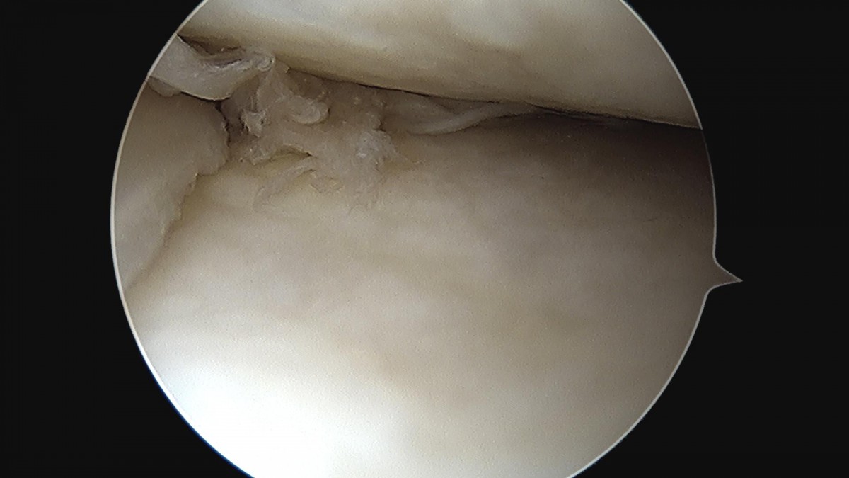 59145ffcd1cc31ddf4b28db2cf275b26_1688177658_1744.jpg