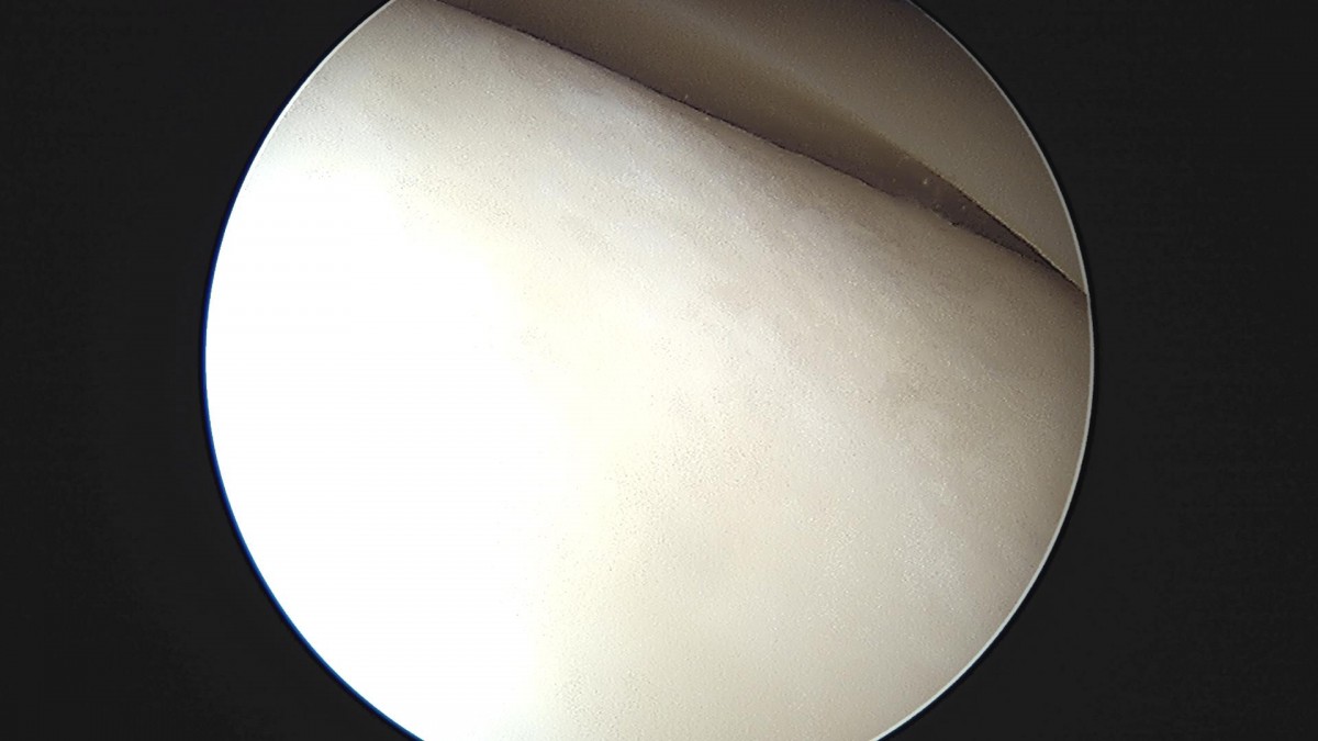 59145ffcd1cc31ddf4b28db2cf275b26_1688178480_7021.jpg