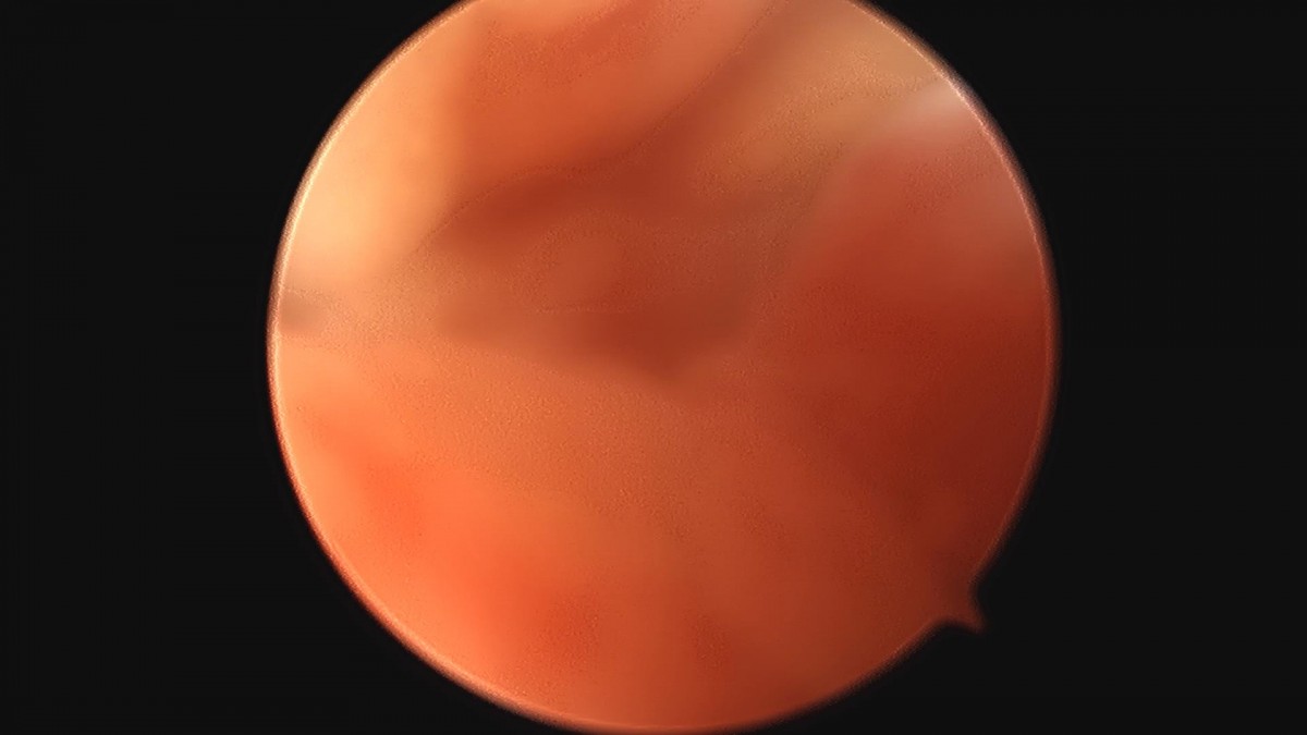9a7df3751519ccedc44d5882d32bf602_1690942449_4767.jpg