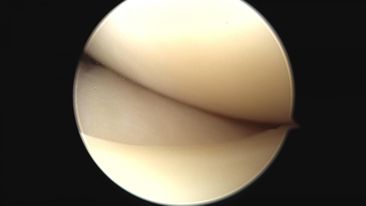 9a7df3751519ccedc44d5882d32bf602_1690942449_6708.jpg