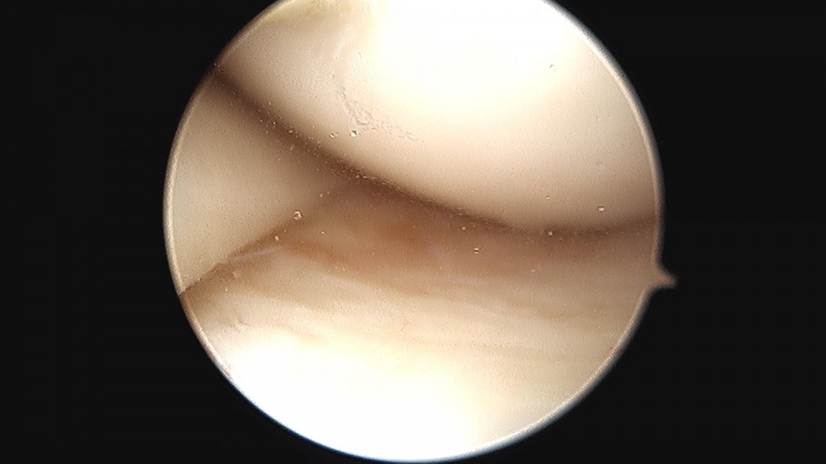 9a7df3751519ccedc44d5882d32bf602_1690942449_811.jpg