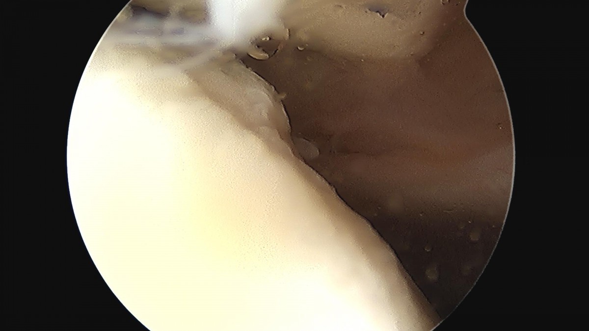 9a7df3751519ccedc44d5882d32bf602_1690944277_9383.jpg