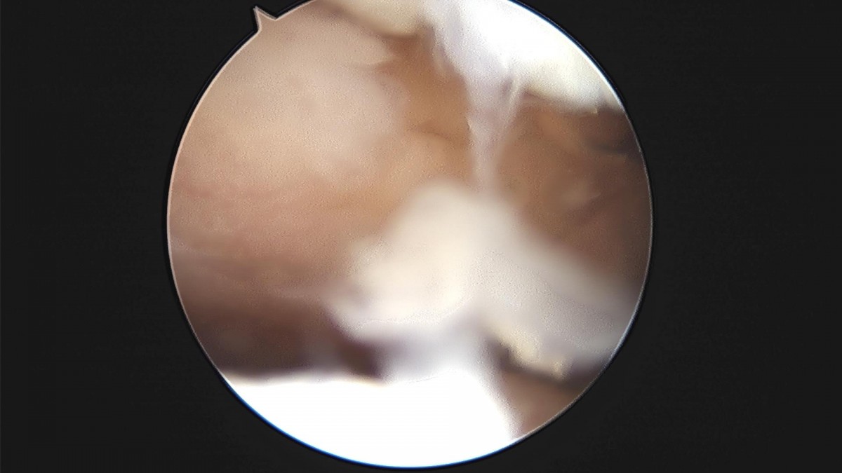 c216224544a9acae255fe16a0ae5549d_1693984957_7438.jpg