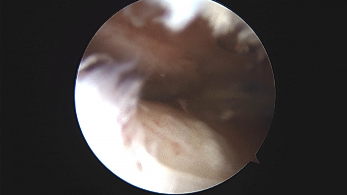c216224544a9acae255fe16a0ae5549d_1693984957_8541.jpg