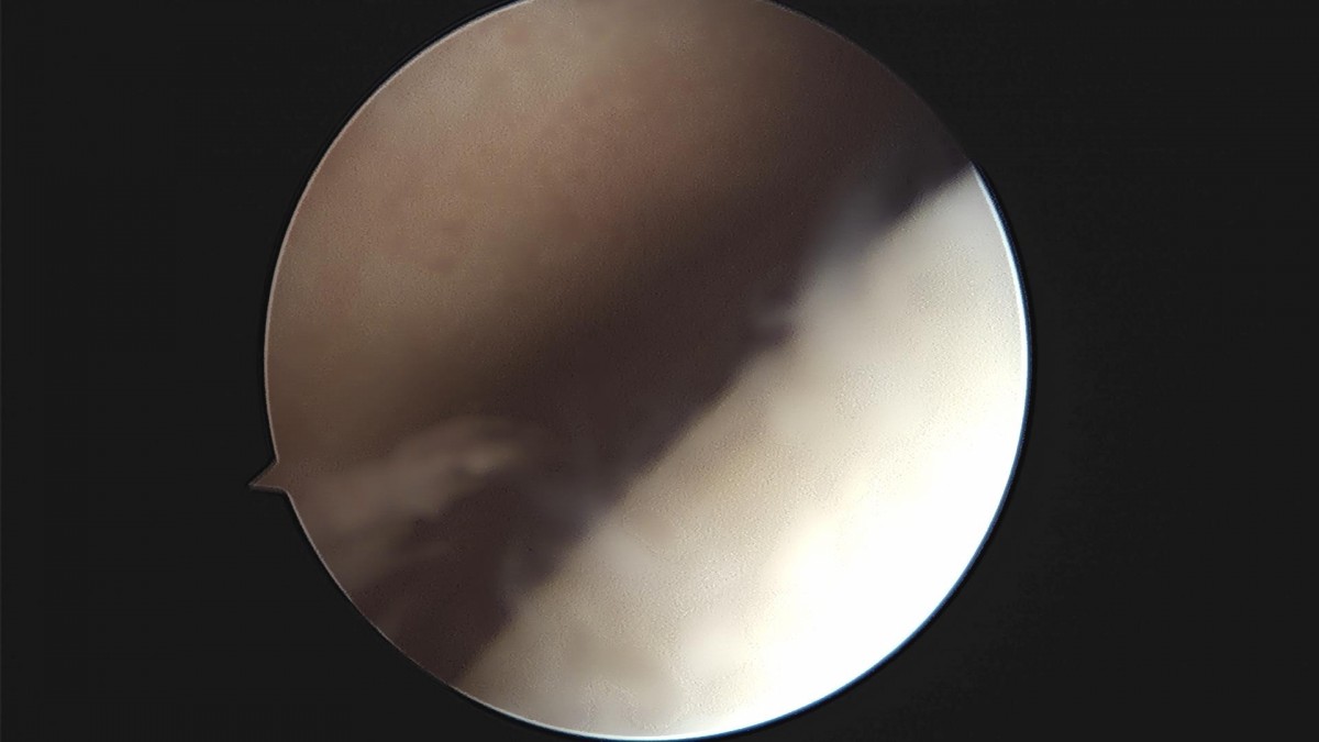 c216224544a9acae255fe16a0ae5549d_1693984957_9608.jpg