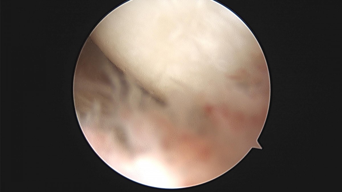 c216224544a9acae255fe16a0ae5549d_1693984958_2429.jpg