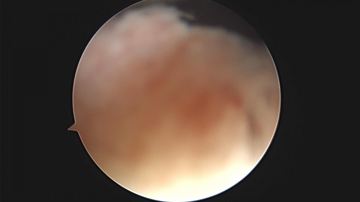c216224544a9acae255fe16a0ae5549d_1693984958_352.jpg