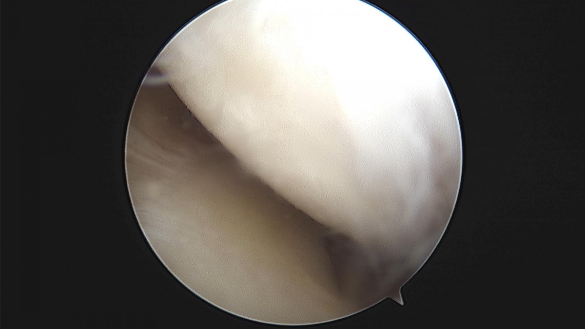 c216224544a9acae255fe16a0ae5549d_1693984958_4958.jpg