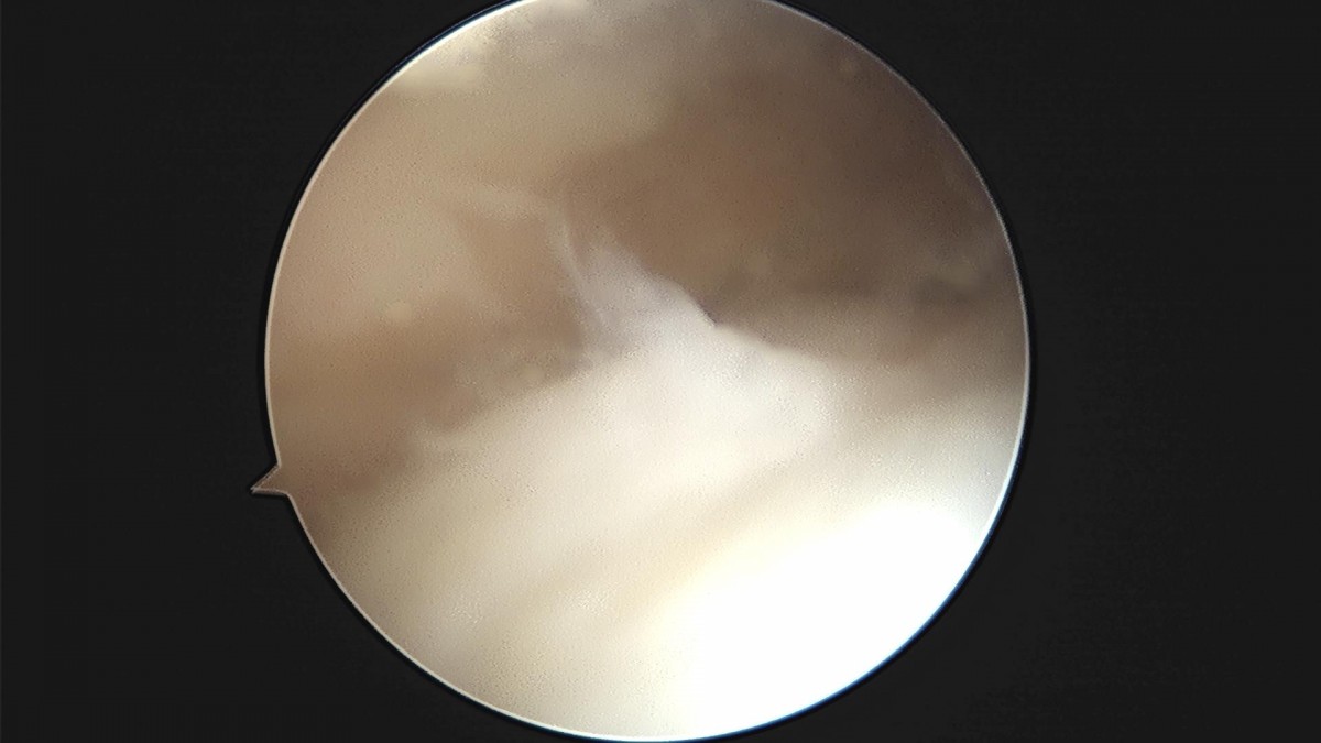 c216224544a9acae255fe16a0ae5549d_1693984958_6455.jpg