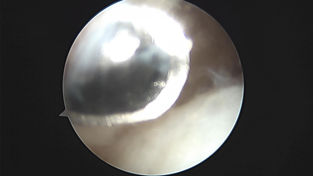 c216224544a9acae255fe16a0ae5549d_1693984958_779.jpg