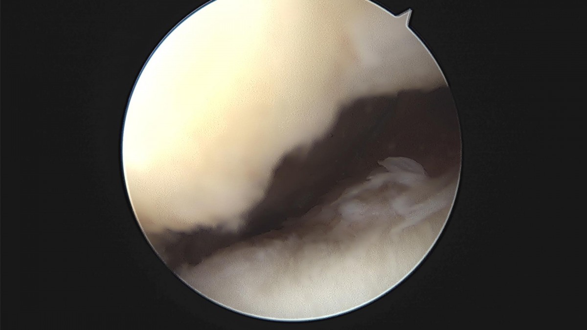 c216224544a9acae255fe16a0ae5549d_1693984958_8794.jpg