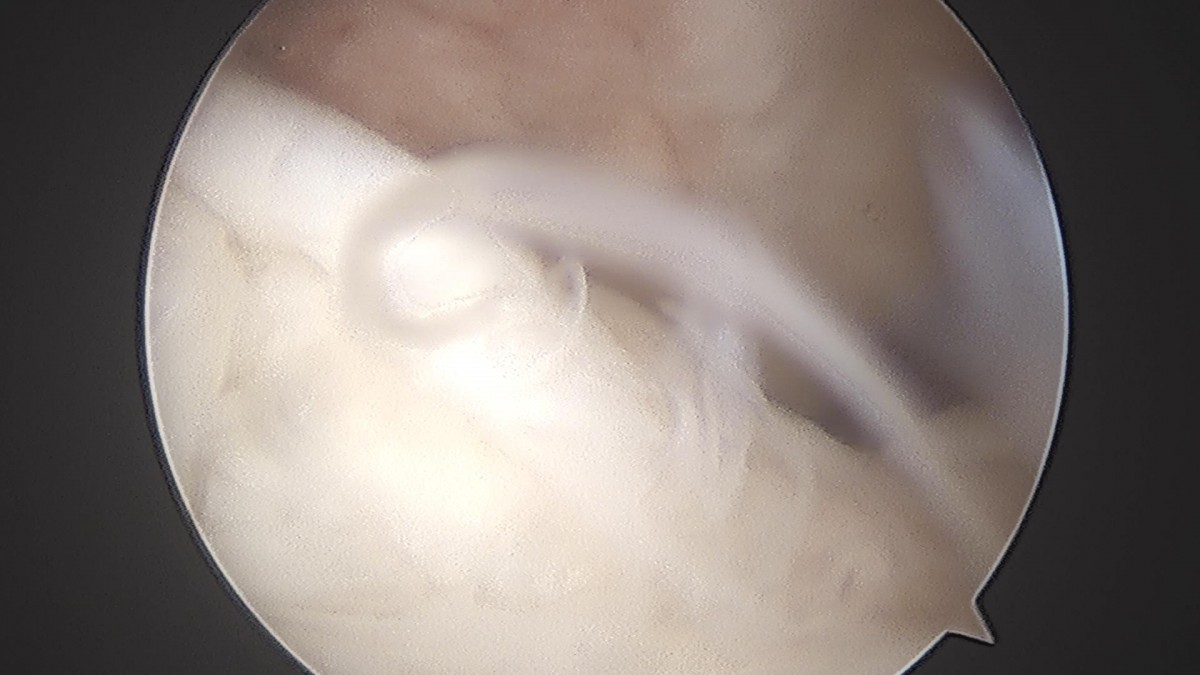 c216224544a9acae255fe16a0ae5549d_1693985039_5336.jpg