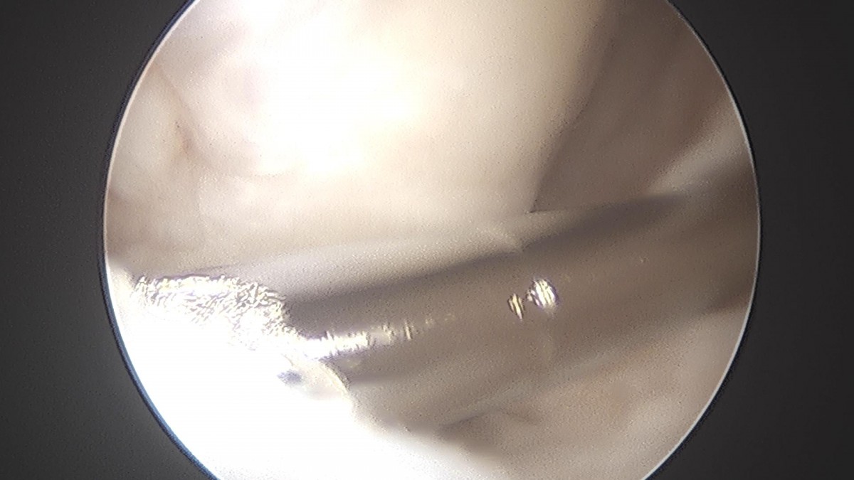 c216224544a9acae255fe16a0ae5549d_1693985039_7533.jpg