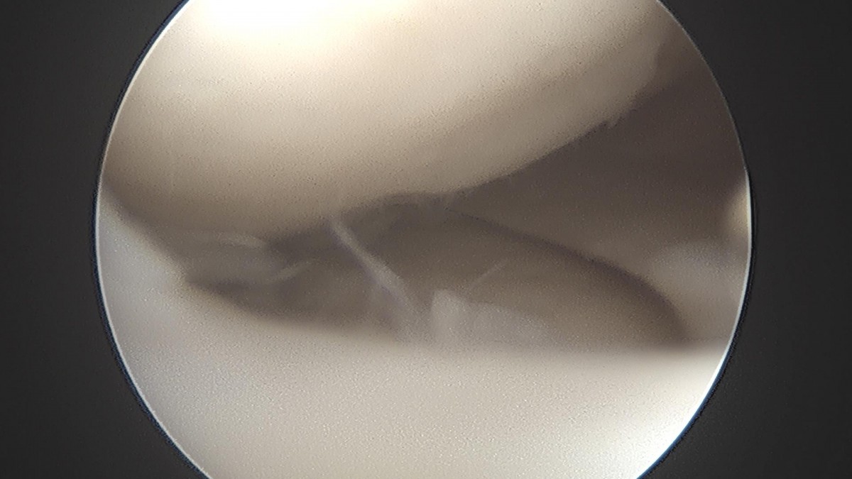 c216224544a9acae255fe16a0ae5549d_1693985039_9686.jpg