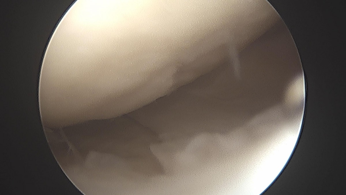 c216224544a9acae255fe16a0ae5549d_1693985040_0699.jpg
