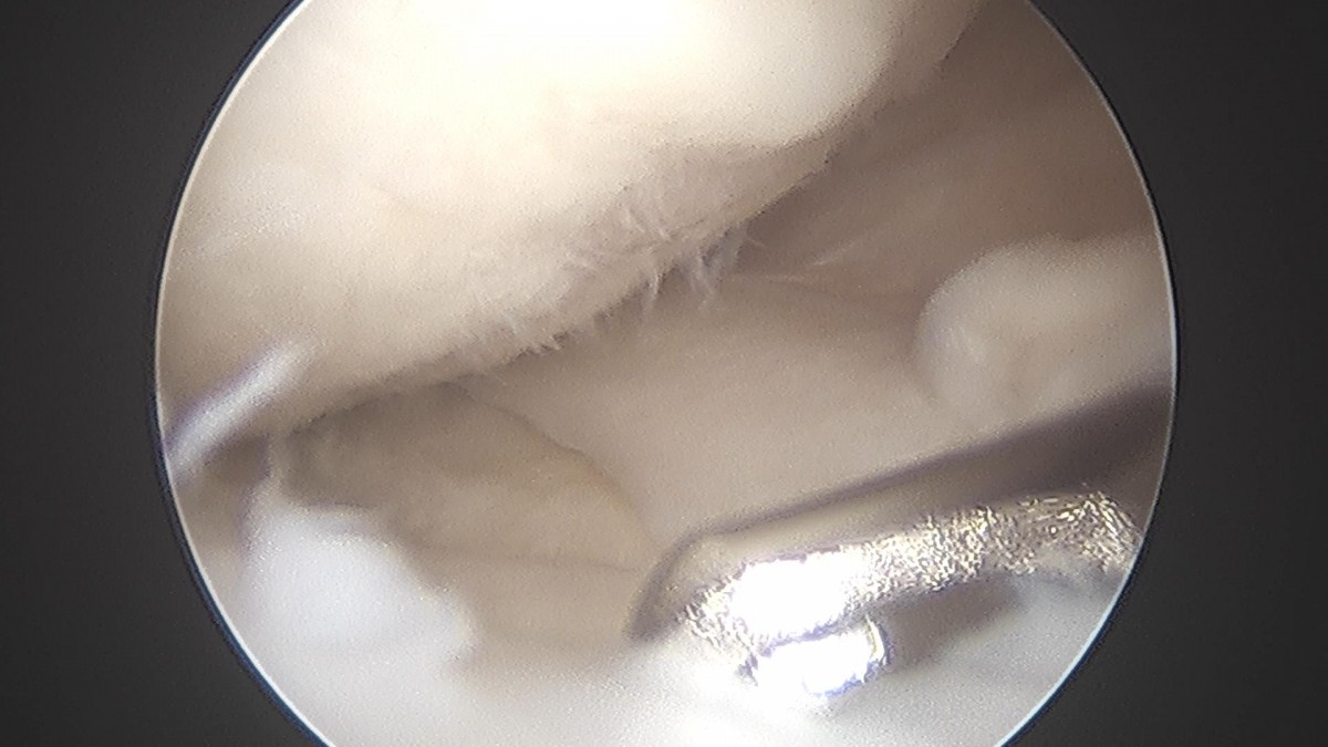 c216224544a9acae255fe16a0ae5549d_1693985040_2782.jpg