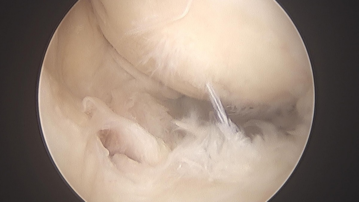 c216224544a9acae255fe16a0ae5549d_1693985040_3845.jpg