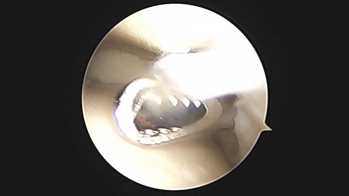 c216224544a9acae255fe16a0ae5549d_1693985113_7309.jpg