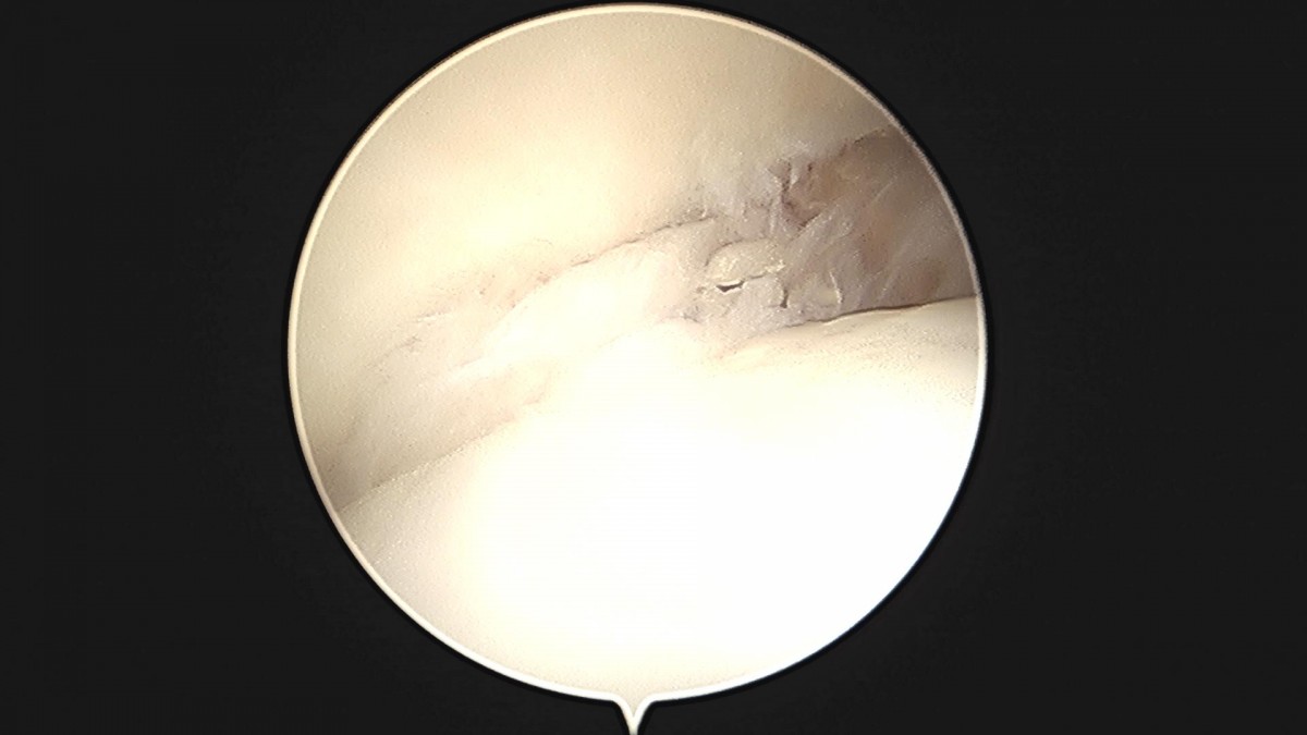 c216224544a9acae255fe16a0ae5549d_1693985113_9362.jpg