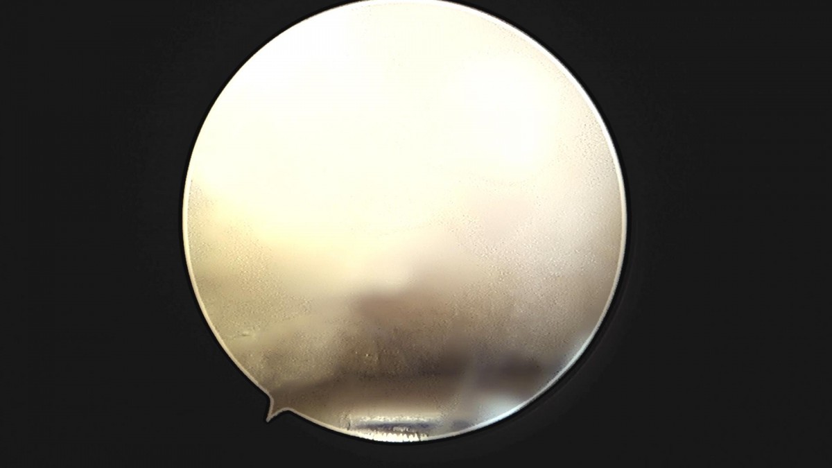 c216224544a9acae255fe16a0ae5549d_1693985114_3754.jpg