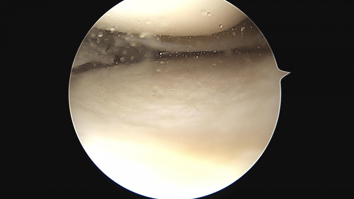 c216224544a9acae255fe16a0ae5549d_1693985744_0727.jpg