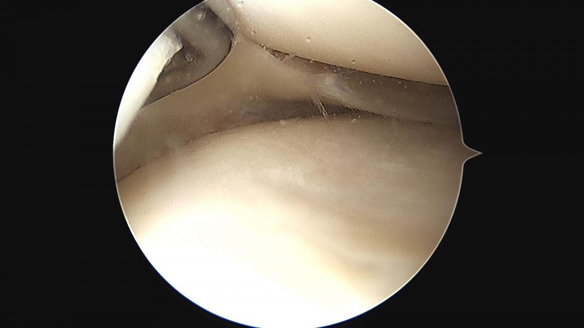 c216224544a9acae255fe16a0ae5549d_1693985744_3734.jpg
