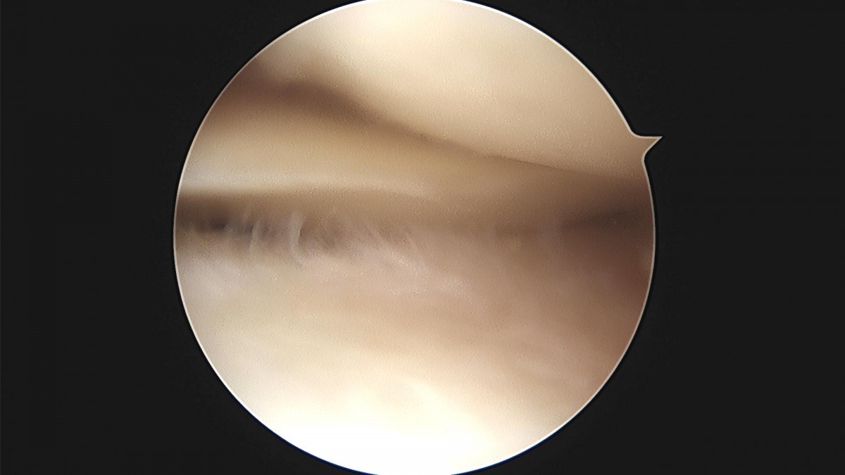 c216224544a9acae255fe16a0ae5549d_1693985999_4891.jpg
