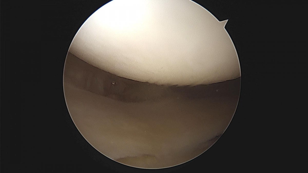 d4279b3b94d98ed627b1644855bcf9f2_1699601361_5092.jpg