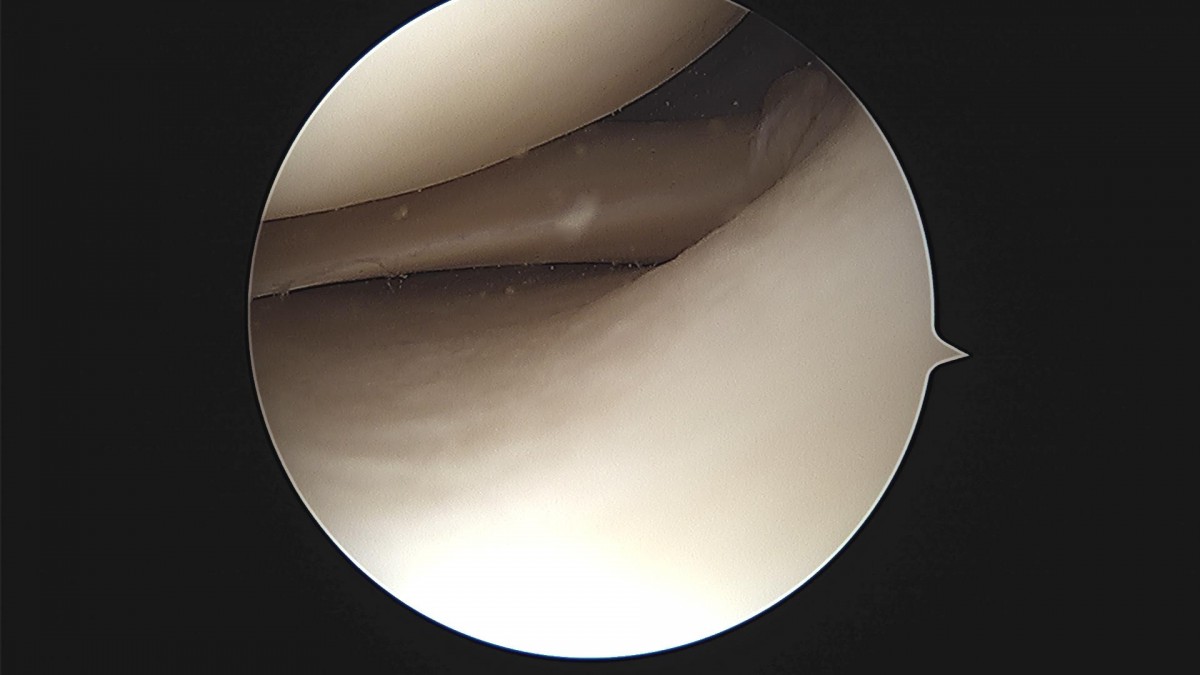 d4279b3b94d98ed627b1644855bcf9f2_1699601486_4394.jpg