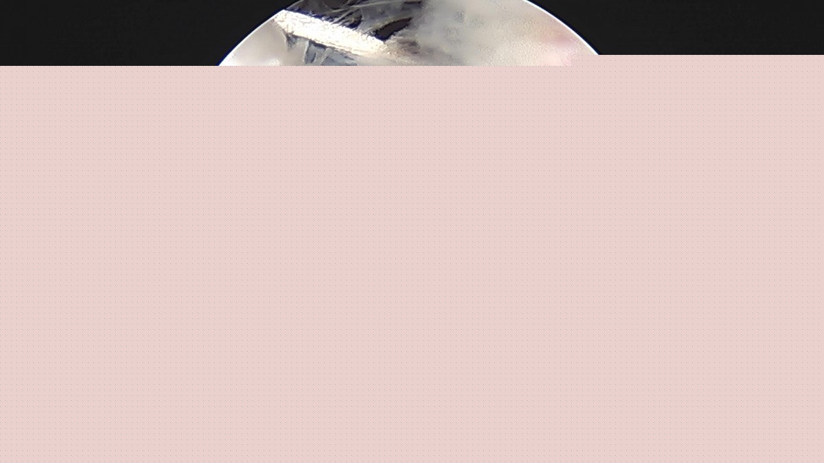 f69e1e55498c1bbac240a4e9eddb0040_1705375090_6262.jpg