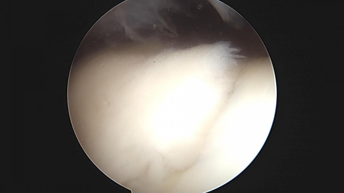 f69e1e55498c1bbac240a4e9eddb0040_1705375602_7335.jpg