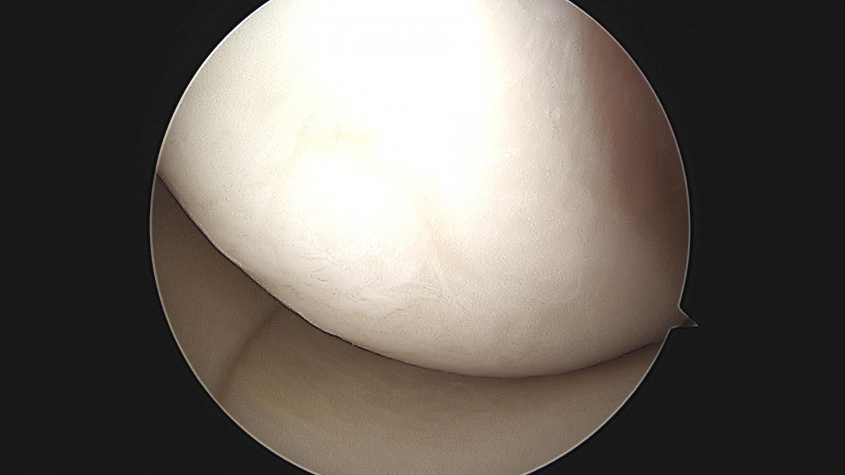 f537707b0b9f2537509492404de31ecf_1716860759_0744.jpg