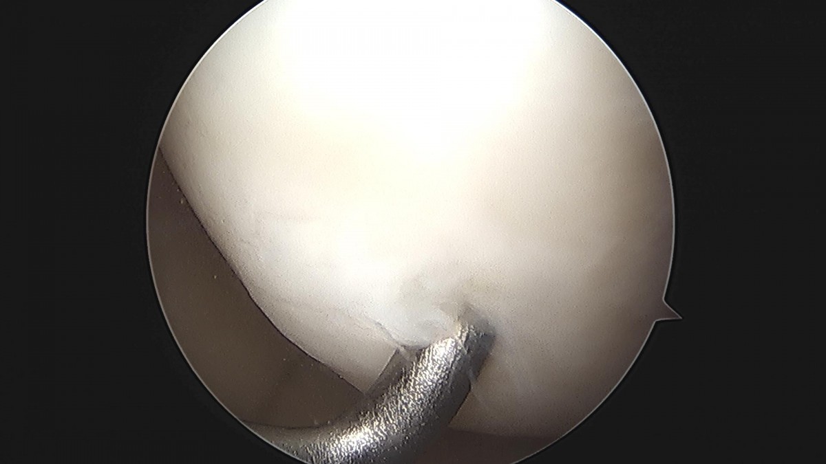 f537707b0b9f2537509492404de31ecf_1716860759_1624.jpg