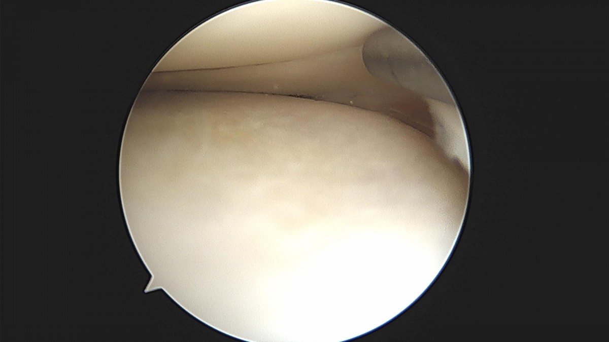 f537707b0b9f2537509492404de31ecf_1716860948_428.jpg