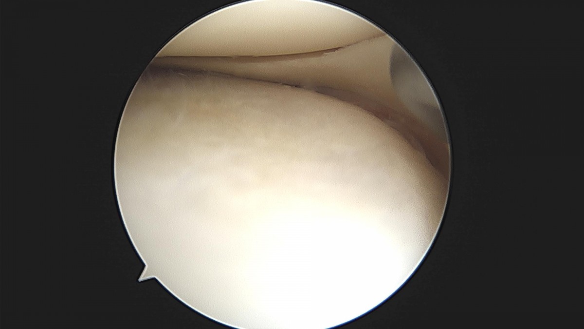 f537707b0b9f2537509492404de31ecf_1716860948_5902.jpg